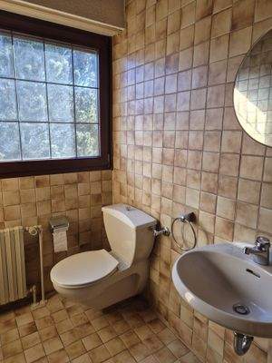 WhatsApp Image 2026-03-03 at 19.16.25(1).jpeg