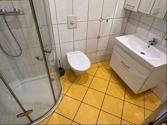 Duschbad Wohnung OG