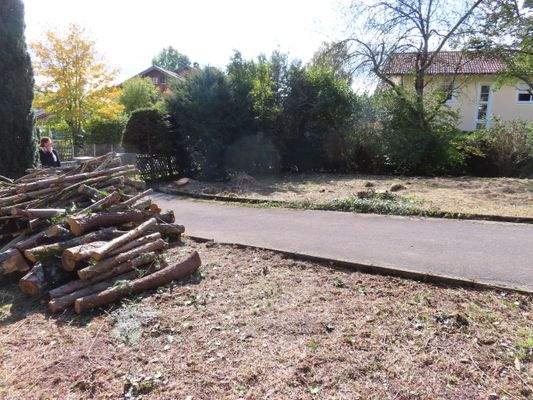 31 Der linke Baugrund.JPG