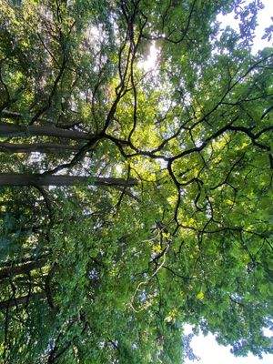 Schlosspark (13).JPG