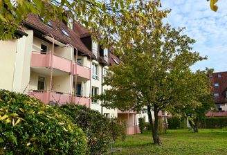 Viel Grün vor dem Haus