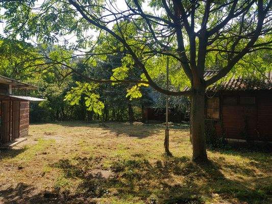 Dunaúj hird kép 12.jpg