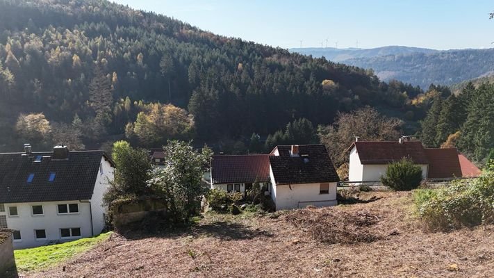 Das könnte Ihr Ausblick sein