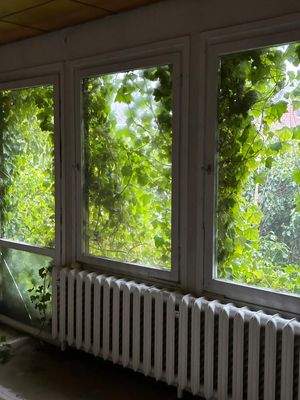 Fensterfront Wohnzimmer