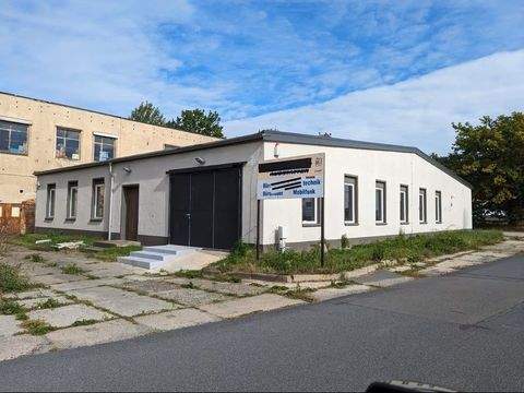 Radeberg Halle, Radeberg Hallenfläche