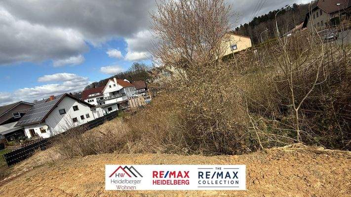 WhatsApp Image 2025-03-31 at 14.22.38 (1)