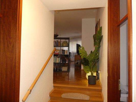 Zugang Wohnbereich-Schafbereich-Küche