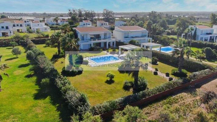 aae5c37544954db2a676307c81a4aede-original