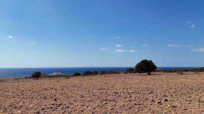 Kreta, Skaloti: Großes Baugrundstück mit Meer- und Bergblick an der Südküste