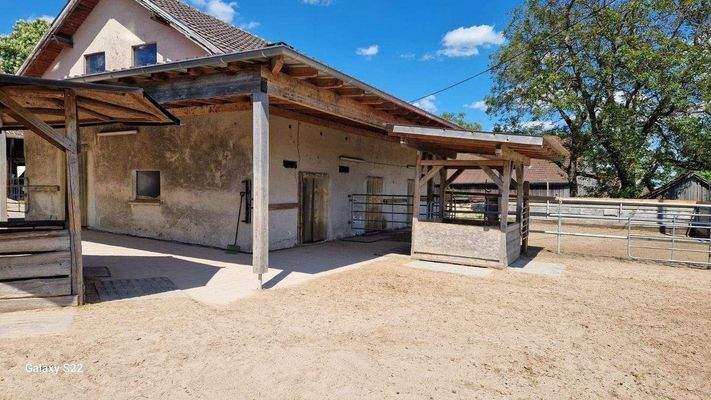 der Allwetterauslauf