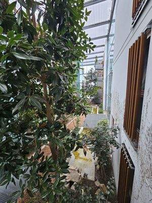 Wintergarten (Innenbalkon)