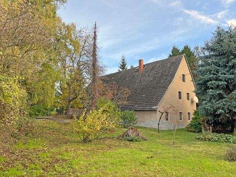 Oschatz Häuser, Oschatz Haus kaufen