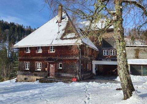 Schluchsee Häuser, Schluchsee Haus kaufen