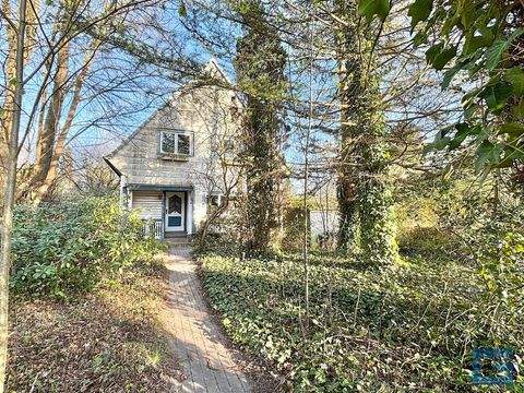 Molfsee Häuser, Molfsee Haus kaufen