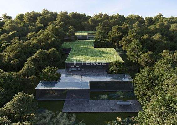 Luxury Villa with a Guest House in Sotogrande San Roque Cádiz