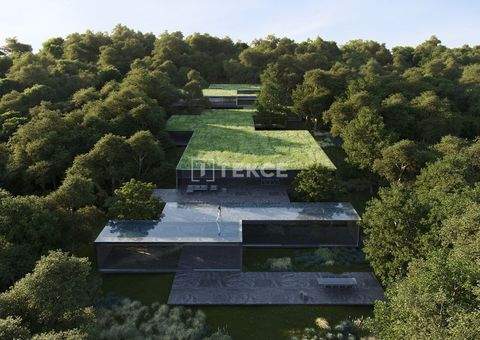 Cádiz Häuser, Cádiz Haus kaufen