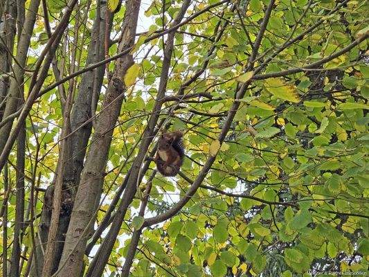 Impression aus dem Garten