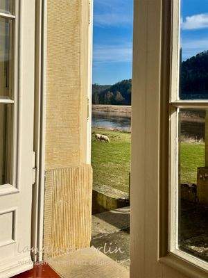 Blick über die Freitreppe auf die Elbwiesen, Schaf