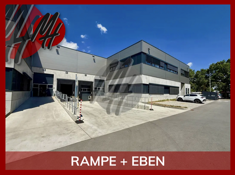 Hofheim am Taunus Halle, Hofheim am Taunus Hallenfläche