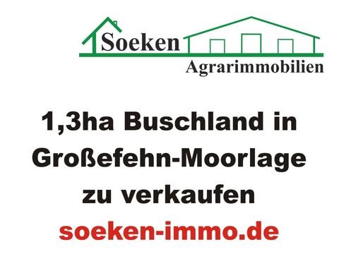 Großefehn Grundstücke, Großefehn Grundstück kaufen