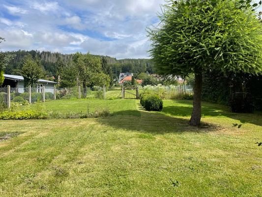 der Garten mit Wiese