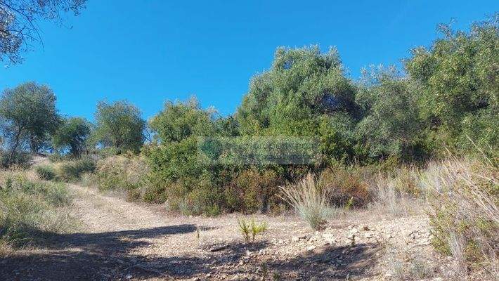 Meeresgrundtück Syvota (45)