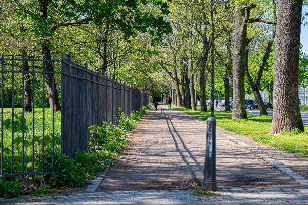 Volkspark_April2024_ASE_5567