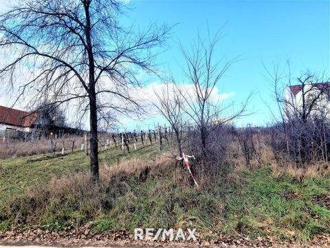 Gols Grundstücke, Gols Grundstück kaufen