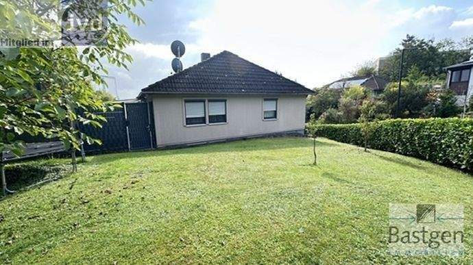 91CC062F-D3FF-4EF1-86AE-FB136A997531_4_5005_c_web.