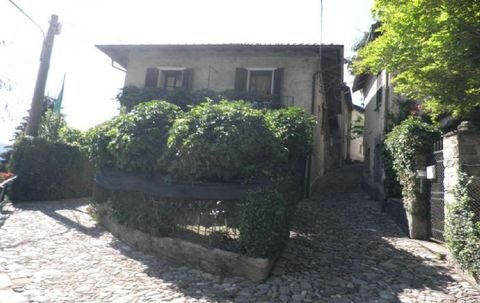 Musignano Häuser, Musignano Haus kaufen