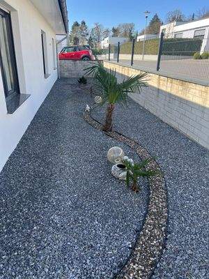 PHOTO-2025-03-29-15-59-01[11]