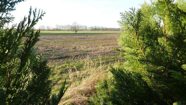 Blick unverbaubar nach hinten