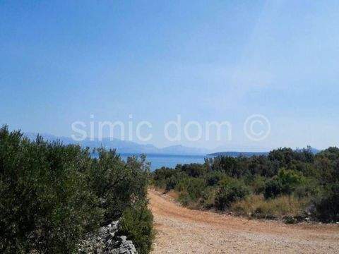 Solta Bauernhöfe, Landwirtschaft, Solta Forstwirtschaft