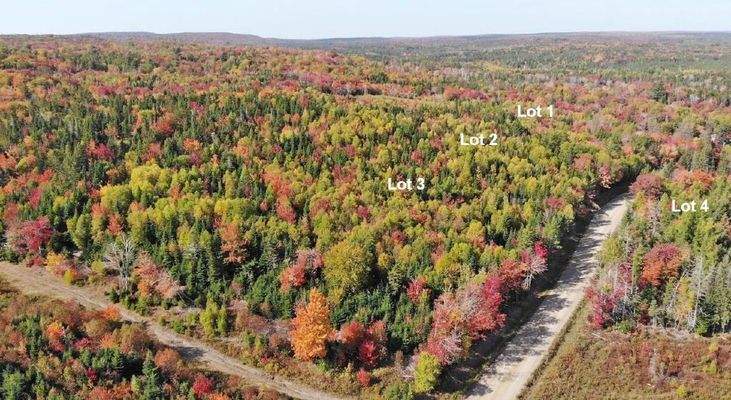 Nova Scotia - West Side Country Harbour - Preiswer