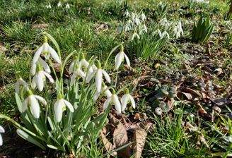 Bald beginnt die Gartenzeit wieder...