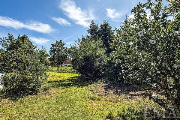 Garten mit Hibiskusbaum