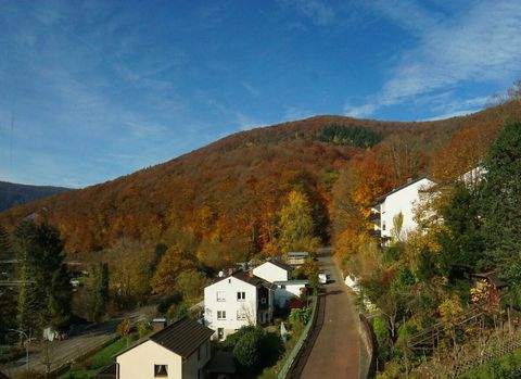 Neckarsteinach Wohnungen, Neckarsteinach Wohnung kaufen