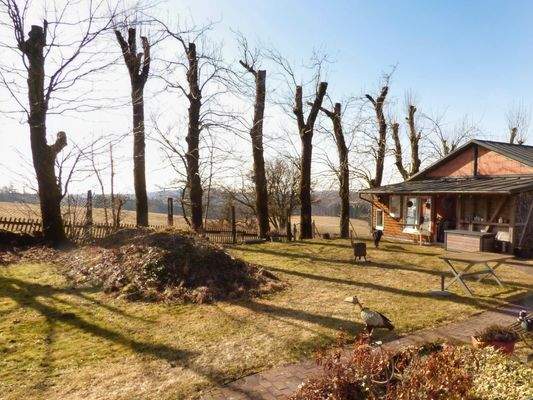 Grundstück mit Baumbestand und Nebengebäude