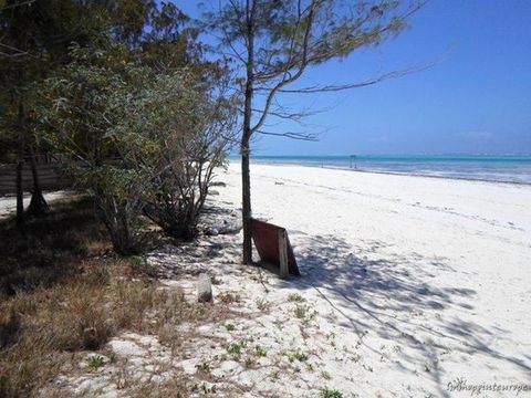 Dongwe Renditeobjekte, Mehrfamilienhäuser, Geschäftshäuser, Kapitalanlage