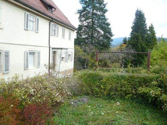 Grünfläche vor Haus