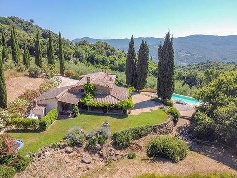 Sassa Häuser, Sassa Haus kaufen