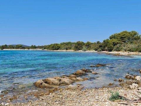 Ugljan Bauernhöfe, Landwirtschaft, Ugljan Forstwirtschaft