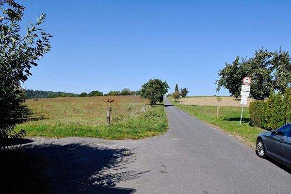 traumhafte Feldrandlage.JPG