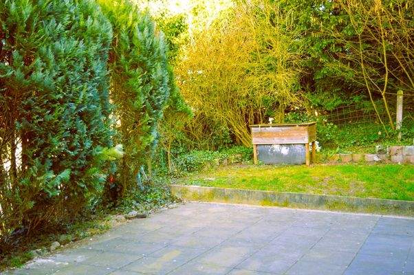 gr. Terrasse mit Garten