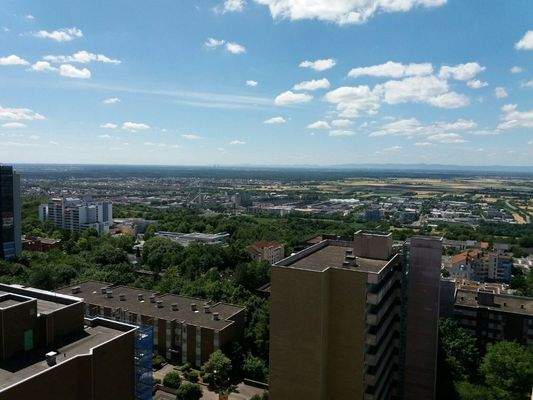 20170626_140258_resized