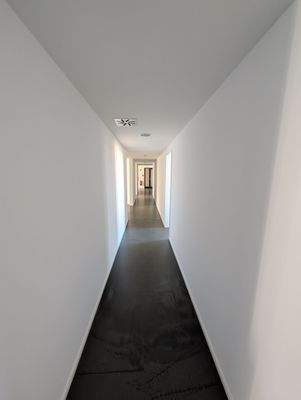 PXL_20250305_084449246
