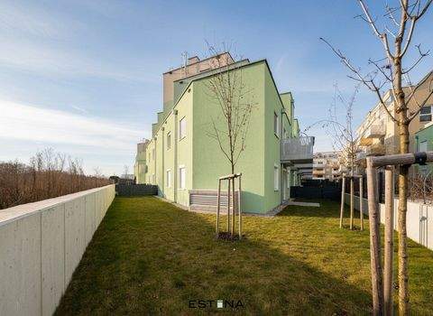 Wien Wohnungen, Wien Wohnung mieten