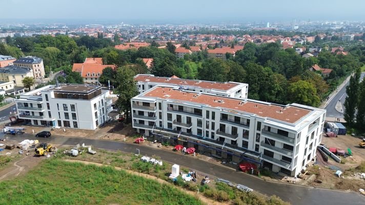 Wildrosenterrassen.I - Blick über Dresden