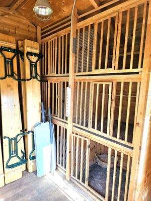 Handwerker Hühnerstall.jpg