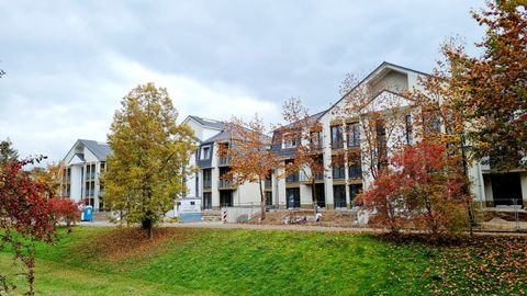 Bad Saarow Wohnungen, Bad Saarow Wohnung mieten